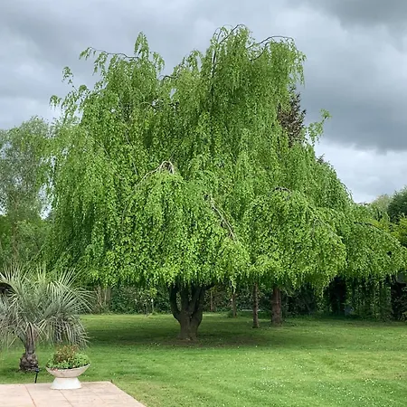 Escapade Romantique En Nature, Calme Et Douceur Au Bord De Marne Isles-les-Villenoy